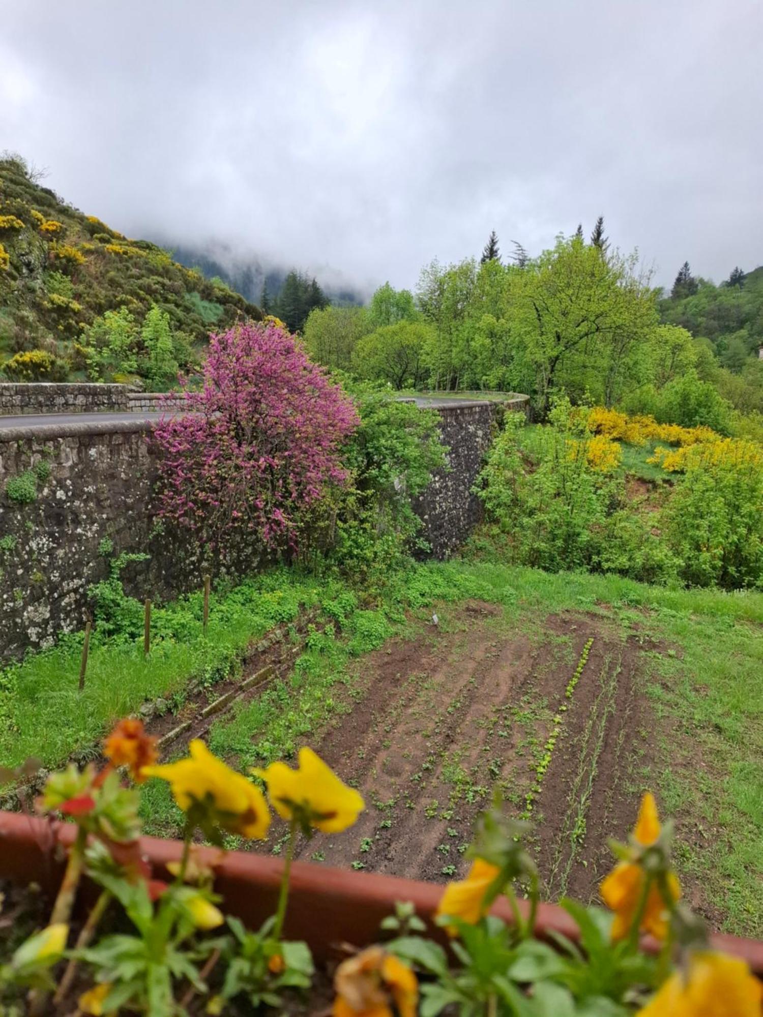 Auberge Arthea Laviolle Exteriér fotografie