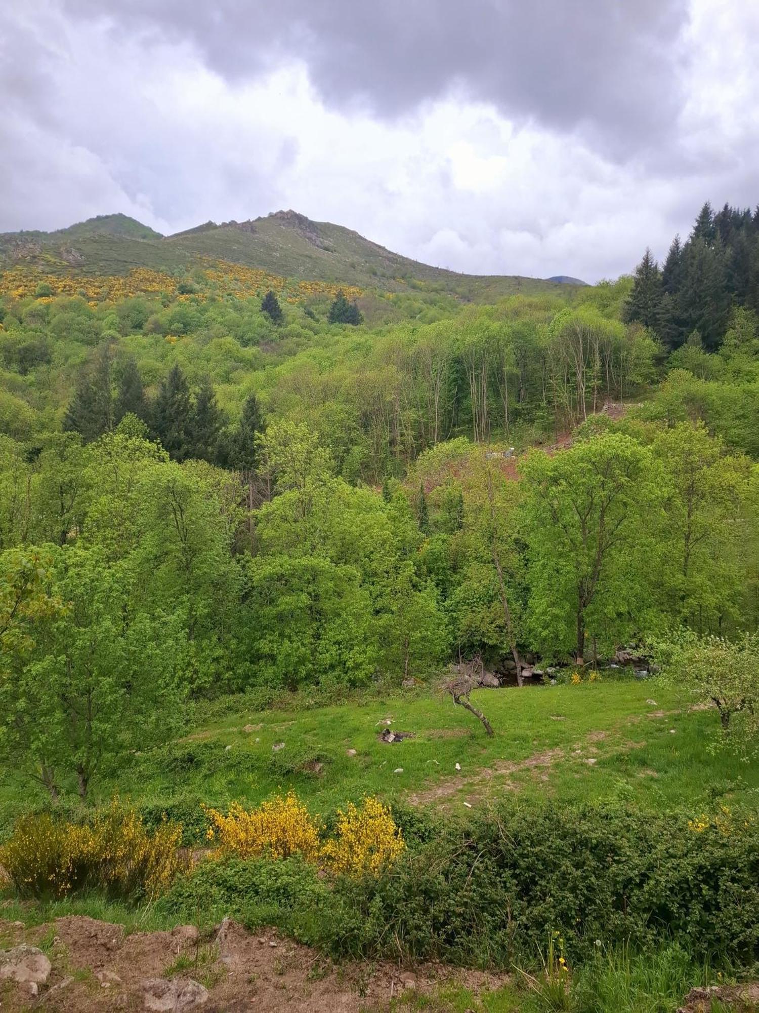 Auberge Arthea Laviolle Pokoj fotografie